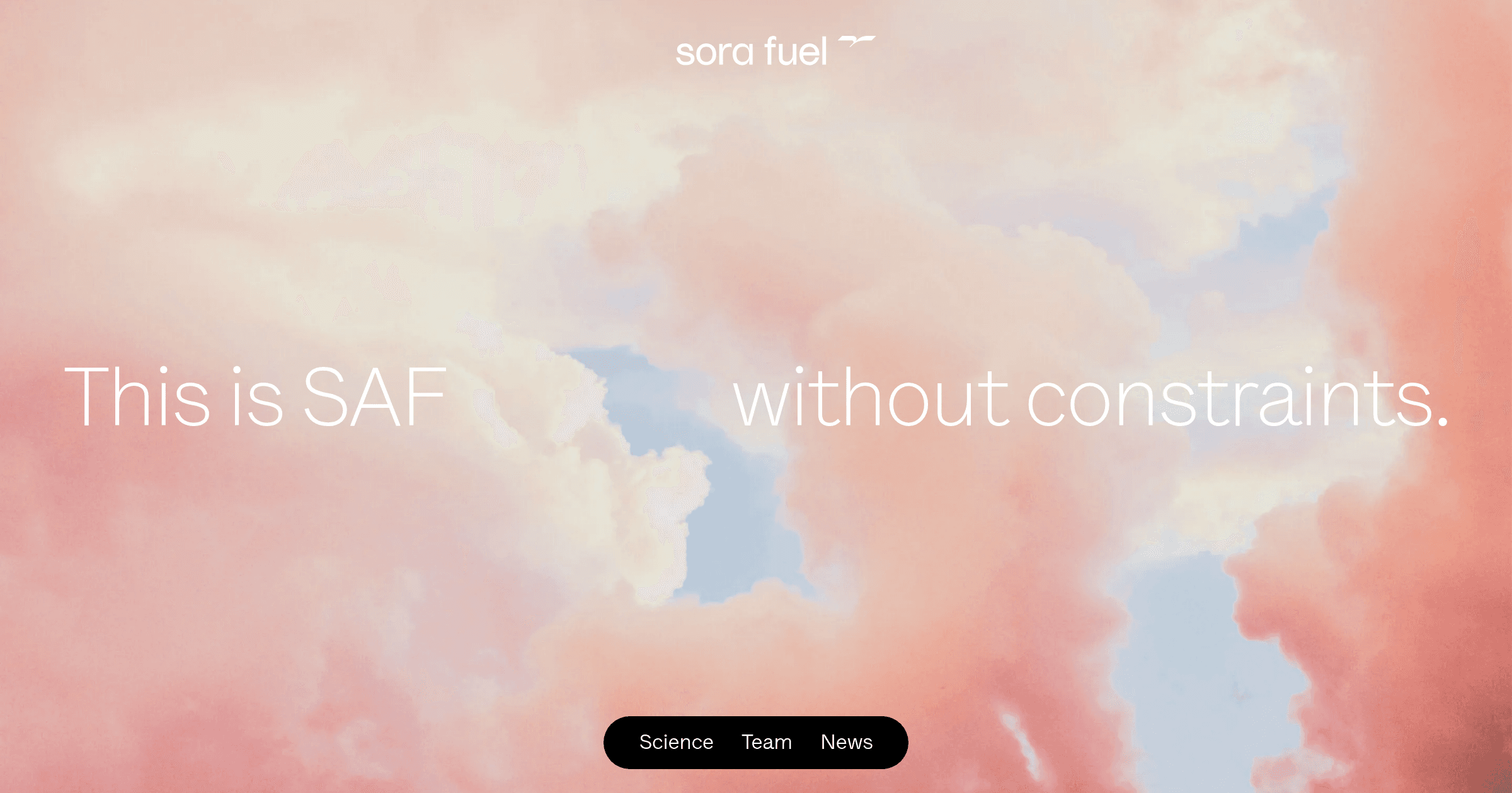 Sora Fuel OG image